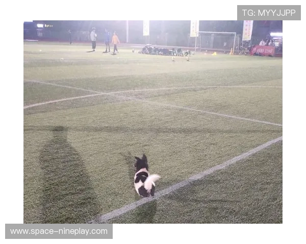 足球明星与孩子们的温馨时光：亲子互动瞬间的精彩捕捉